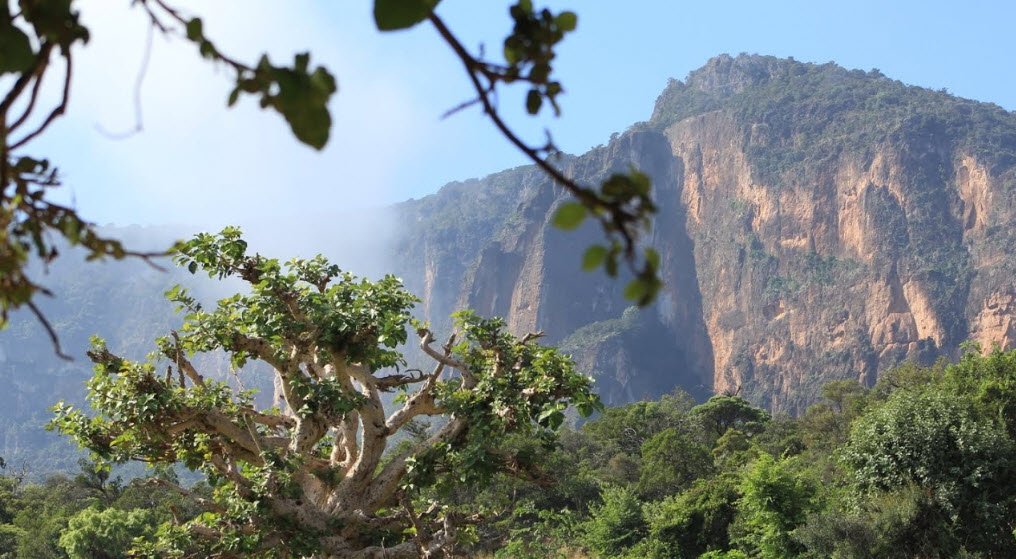 Cal Madow Mountains, Bari Region (Puntland), Somalia